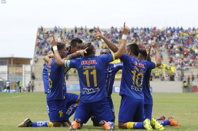 Delfín 17