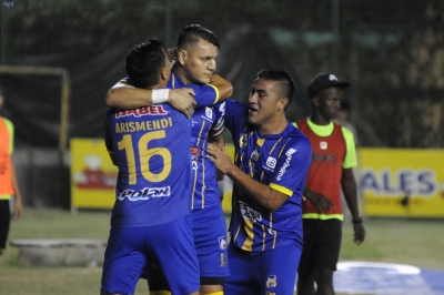 Delfin 22