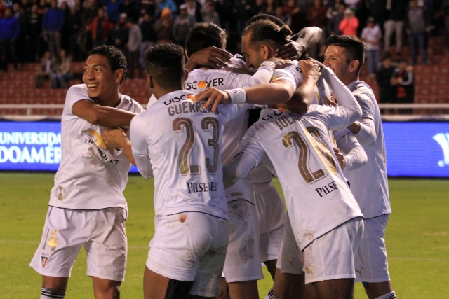 Liga 31