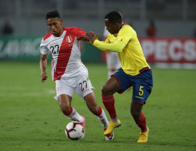 Renato Ibarra Sel