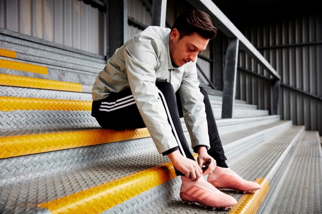Mesut Ozil