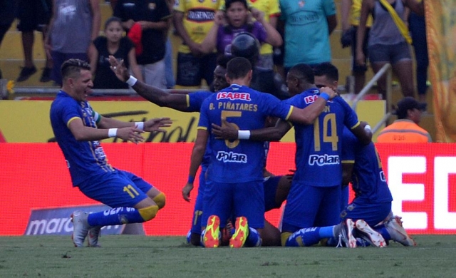 Delfín 33
