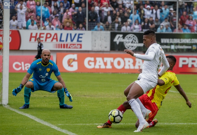 Fernando Fernandez 3