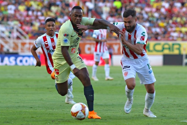 Renato Ibarra 2