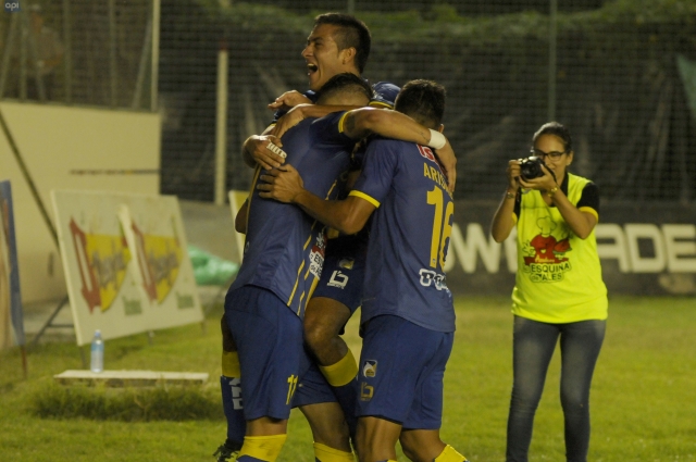 Delfín 14