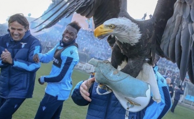 Felipe Caicedo 7