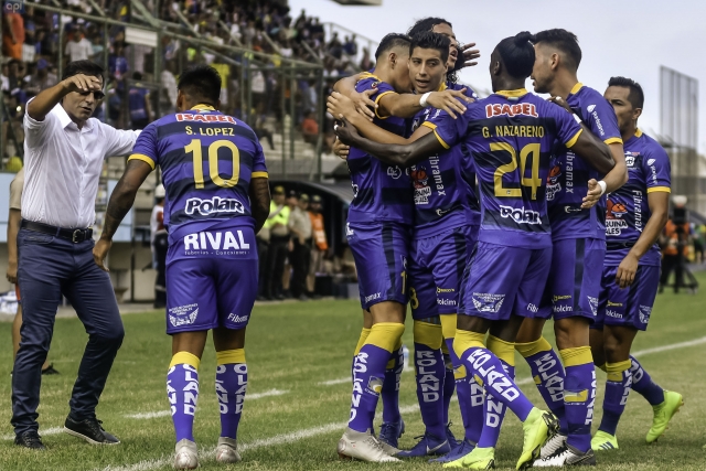 Delfín 8