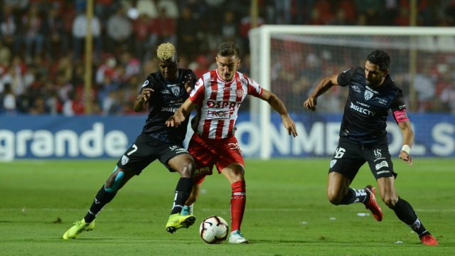 Cristian Pellerano 2