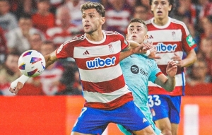 No marchan bien los grandes de España (RESUMEN)