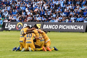 Cetáceos rumbo a Territorio Charrúa (OFICIAL)