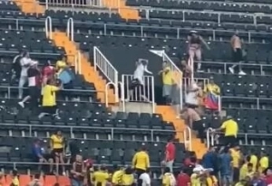 Hinchada Colombia