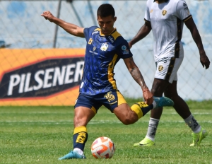 Botafogo sufre otro golpe tras perder la cima de Sudamericana con Liga