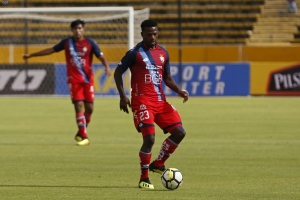 Oficialmente Cetáceo (FOTO)