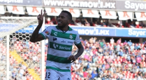 ¡Despertó el Tricampeón desquitándose del Cetáceo! (VIDEO)