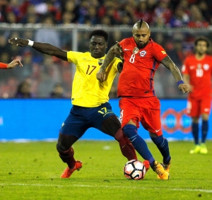 ¿Músculo para la delantera del Rey de Copas?