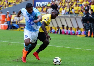 Le estamos agarrando la mano