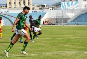 Seis cabezas más rodaron en la Amenaza Verde (DOCUMENTO)