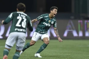 Palmeiras 12