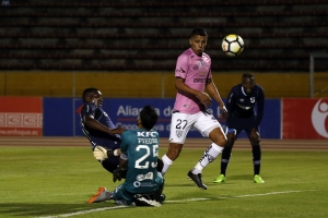 Amargura Camarata (VIDEO)