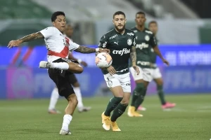 Palmeiras 10