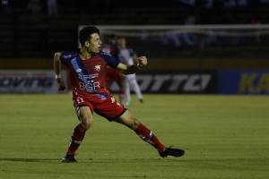 Delfín a un paso de juntar un montón de neuronas para su medio campo