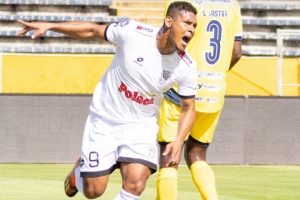 Van solo de tropiezos (RESUMEN)