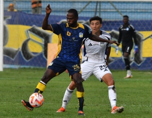 ¡TRIPLE GOLPE DE MERCADO CETÁCEO! Tres ecuatorianos llegan con sed de revancha al Delfín SC