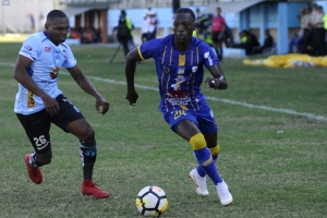 Se enfermaron dos cetáceos