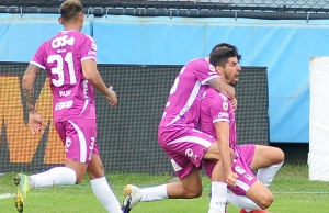 Reacción tardía de la Academia (RESUMEN)