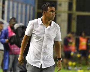 Un Cachorro puso la noche de Negriazul (RESUMEN)