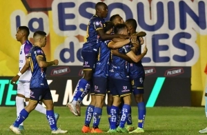 Delfin 9