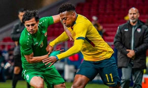 Chocolatín con maletas armadas para Bulgaria