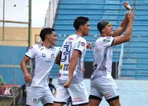 Delfin 7