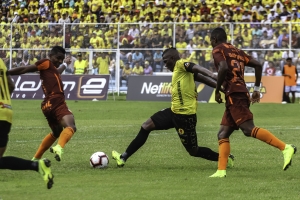 Calidad en la media del Cetáceo (OFICIAL)