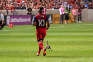 José Delgado confirma una nueva rescisión en Delfín SC