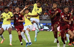 Será un Zorro entre canes (FOTO)