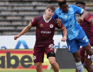 Belleza para Vinontinto ‘mano’ porque vienen nuevas caras en camino para alimentar su proyecto