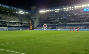 Estadio Capwell 2