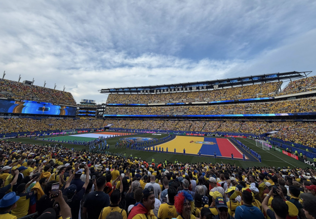 Hinchada Seleccion 2