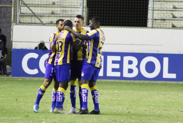 Delfín 8