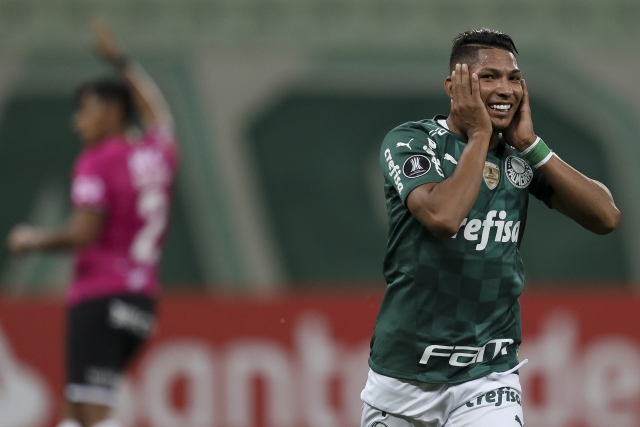 Palmeiras 3