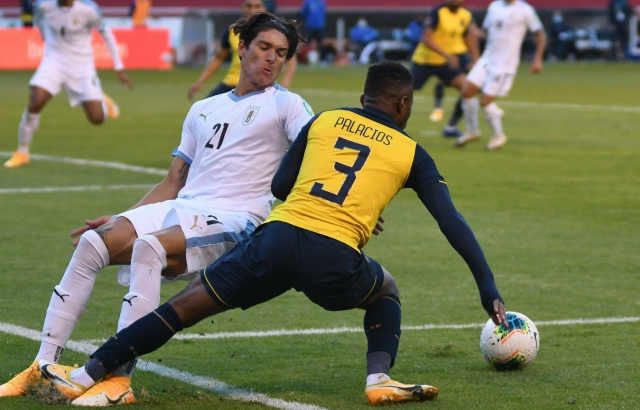 Diego Palacios Sel