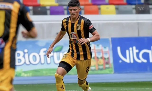 Nicolas Goitea