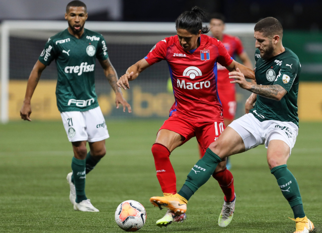 Palmeiras 4