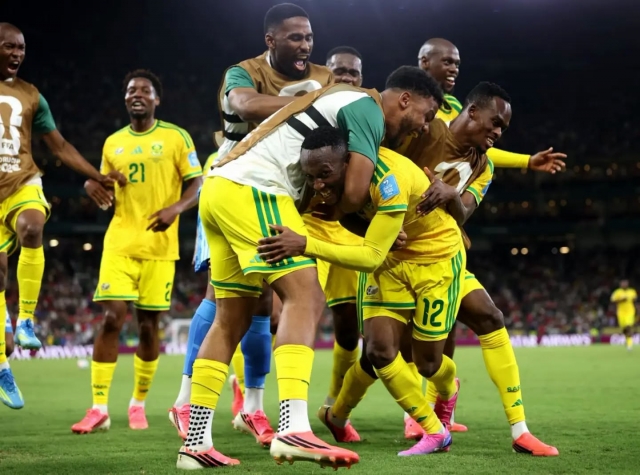 Seleccion Sudafrica