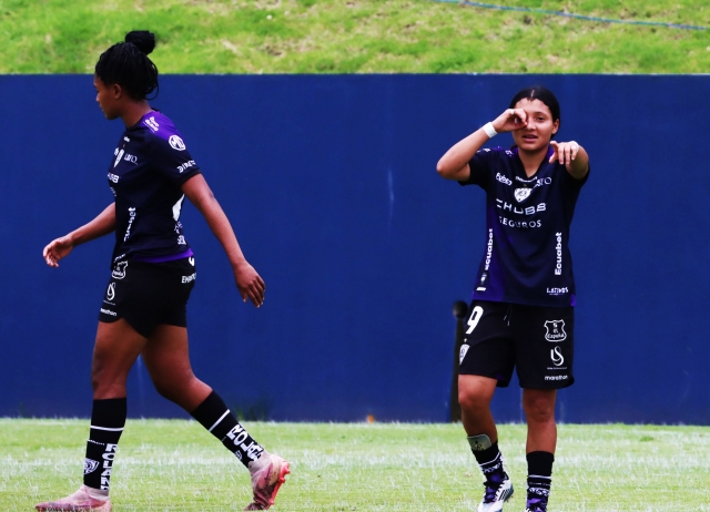 Dragonas IDV 3