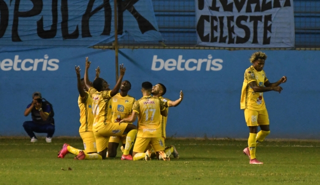 Delfin 10