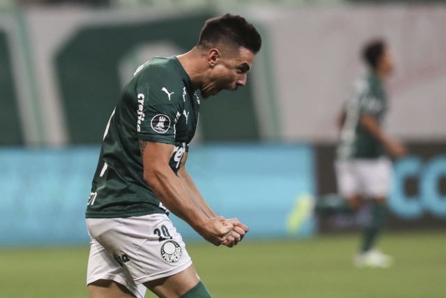 Palmeiras 3