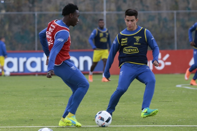 Luis Caicedo I sel