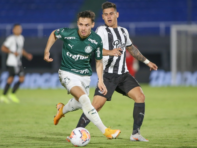 Palmeiras 7